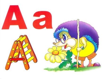 Alfabetul limbii române (set 31 planse) [1]