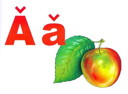 Alfabetul limbii române (set 31 planse) [3]