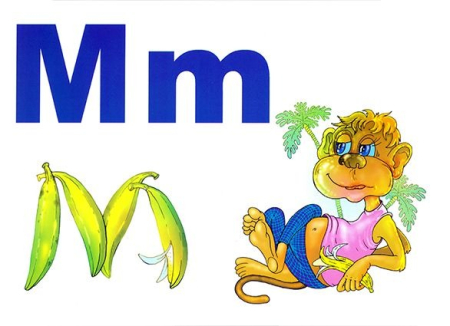 Alfabetul limbii române (set 31 planse) [20]