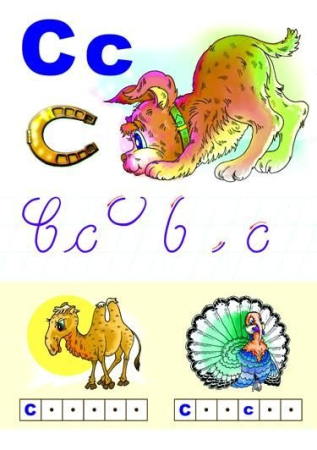 Alfabetul limbii române (set 31 planse) [25]