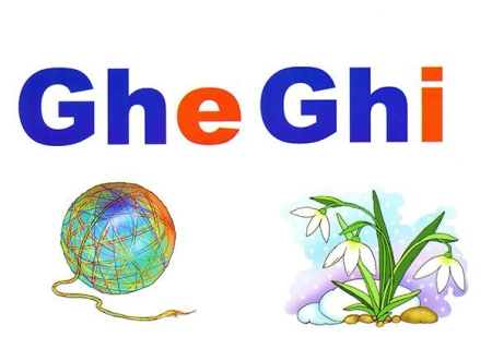 Alfabetul limbii române (set 31 planse) [13]