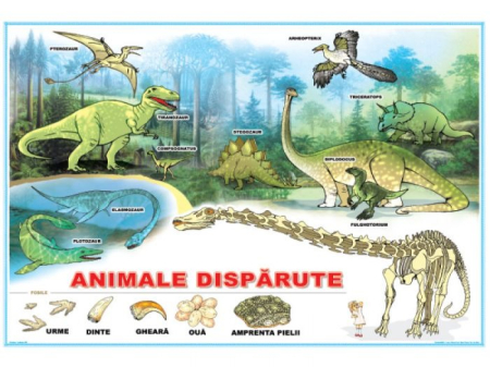 Animalele dispărute / Curtea fermierului [1]