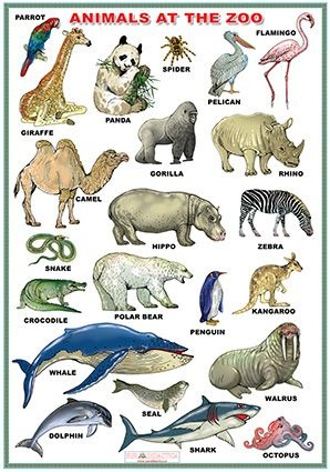 Materiale Didactice si Jocuri Prescolari - Animals at the zoo /Flowers (DUO)