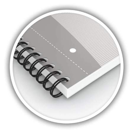 Caiet cu spirala dubla A4 [5]