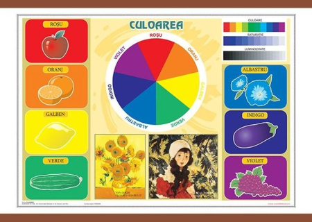 Arte si Tehnologii - Culoarea