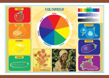 Arte si Tehnologii - Culoarea / Materiale plastice