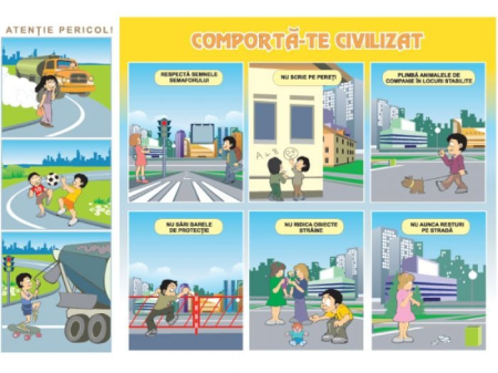Educatie fizica - Culorile și semnele vorbesc/Comportă-te civilizat (DUO)