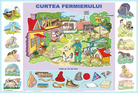 Matematica si stiinte ale naturii - Curtea fermierului