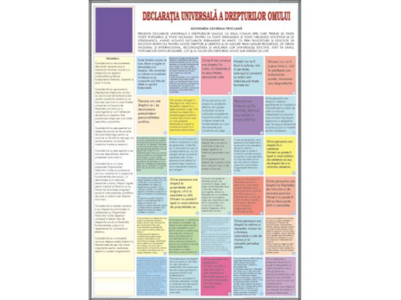 Materiale Didactice Gimnaziu si Liceu - Declaraţia universală a drepturilor omului
