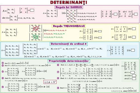 Planse liceu - Determinanţi / Funcţia putere (duo)