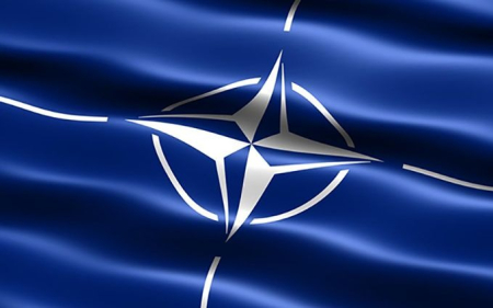 Educatie civica - Drapel NATO (1350x900mm/160)