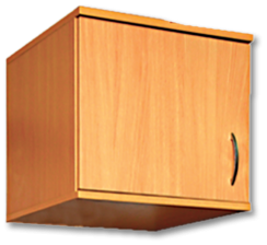 Dulapuri,Biblioteci si Cuiere - Dulap suspendat cu usa (402x518x372mm)