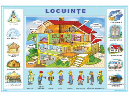 Matematica si stiinte ale naturii - În pădure/Locuinţe