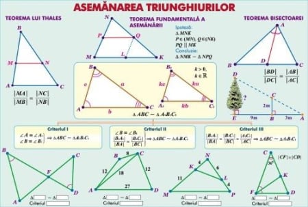 Inecuaţii cu o necunoscută/Asemănarea triunghiurilor (duo) [1]