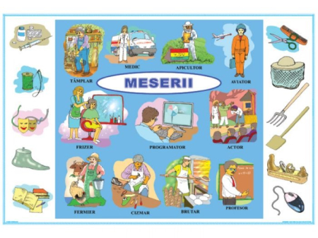 Matematica si stiinte ale naturii - Insecte / Meserii