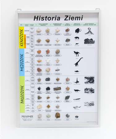 Sectiuni microscopice - ISTORIA PĂMÂNTULUI – vitrină educațională 90cm x 65cm - fosile