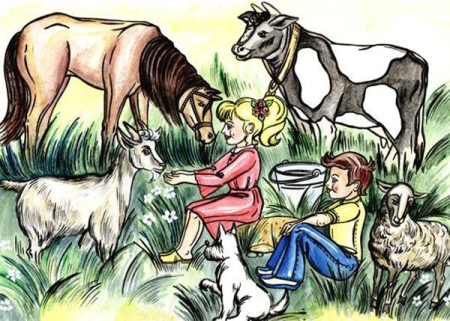 Limba si Comunicare - La câmp