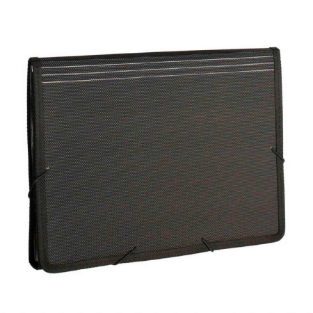 Mapa din plastic cu burduf 12 compartimente [1]