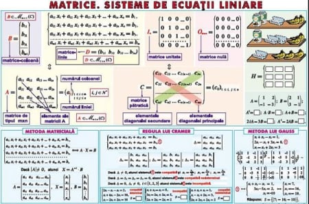 Planse liceu - Matrice. Sisteme de ecuaţii liniare / Sfera înscrisă în corpurile de rotaţie (duo)