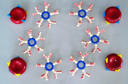 Materiale Didactice Gimnaziu si Liceu - Model COMPOZITIA SANGELUI