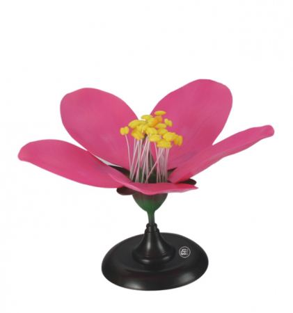 Model floare de piersic - floare [1]