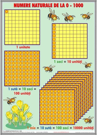 Reprezentări matematice elementare - Numere naturale de la 0 -1000
