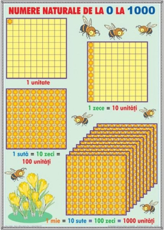 Numere naturale de la 0-1000 / Operaţii cu numere naturale (DUO) [1]