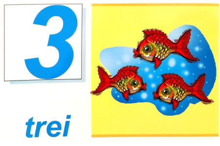 Numerele - set 10 planse [3]