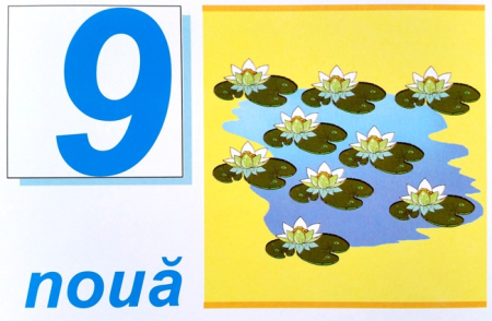 Numerele - set 10 planse [9]