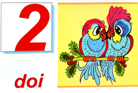 Numerele - set 10 planse [2]