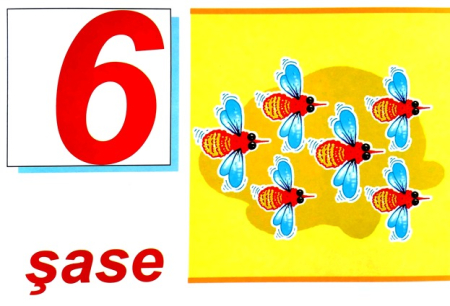Numerele - set 10 planse [6]