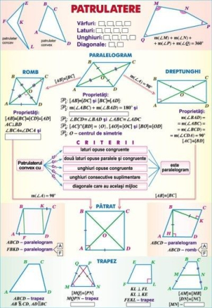 Matematica - Patrulatere/Funcţii de gradul II (duo)