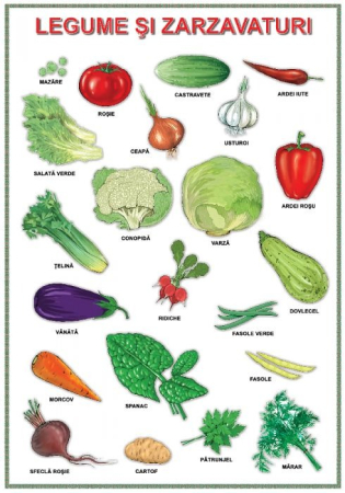 Matematica si stiinte ale naturii - Planșă. Legume și zarzavaturi