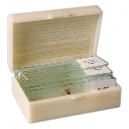 Sectiuni microscopice - PREPARATE/SECTIUNI VEGETALE,ANIMALE,UMANE 15 BUC.
