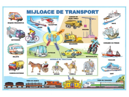 Dezvoltarea cognitiva - Protejează natura / Mijloace de transport