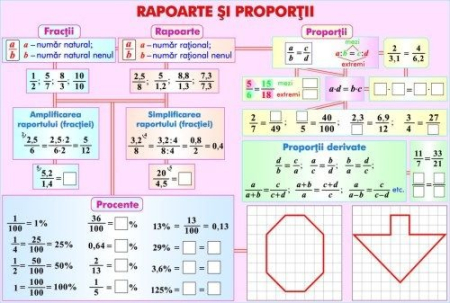 Matematica - Rapoarte şi proporţii/Numere întregi (duo)