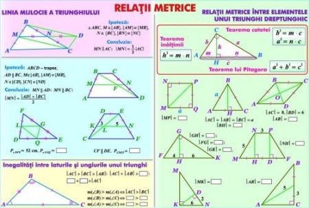 Matematica - Relaţii metrice/Sisteme si totalităţi de ecuaţii (duo)
