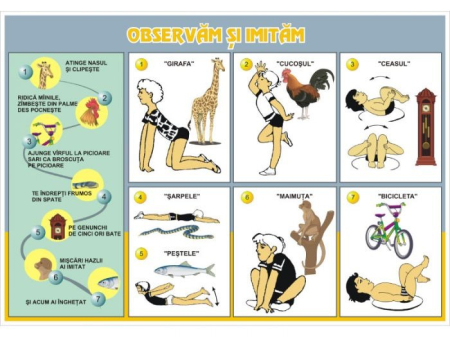 Sănătate pentru toţi / Observăm şi imităm (DUO) [1]