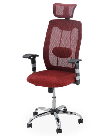 Scaune si Fotolii - Scaun de birou ergonomic