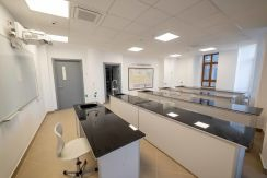 Scaun universal model 2 [2]