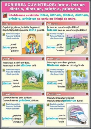 Scrierea corecta - Scrierea cuvintelor într-o/ într-un