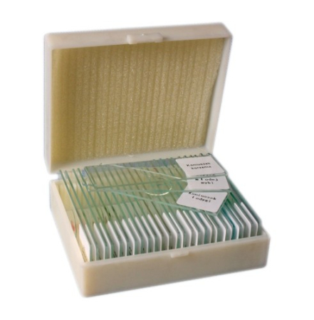 Sectiuni microscopice - seturi - MUȘCHI, LICHENI, LIERMI DE FICAT, CIUPERCI 25 BUCĂȚI - PREPARATE