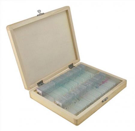 Sectiuni microscopice - SET DE PREPARATE BIOLOGICE MICROSCOPICE 100(VEGETAL/ANIMAL/UMAN)