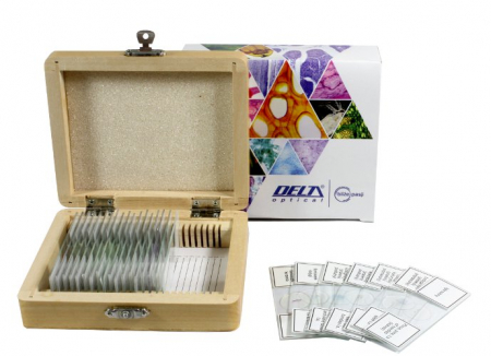 Sectiuni microscopice - SET DE PREPARATE BIOLOGICE MICROSCOPICE 25(VEGETALE,ANIMALE,UMANE)
