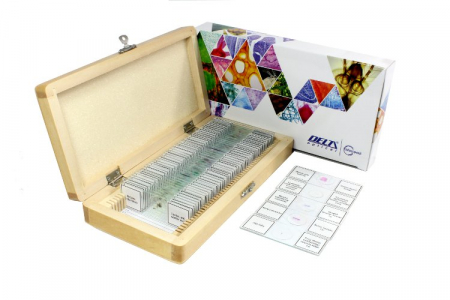 Sectiuni microscopice - SET DE PREPARATE BIOLOGICE MICROSCOPICE 50 (VEGETALE/ANIMALE/UMANE)