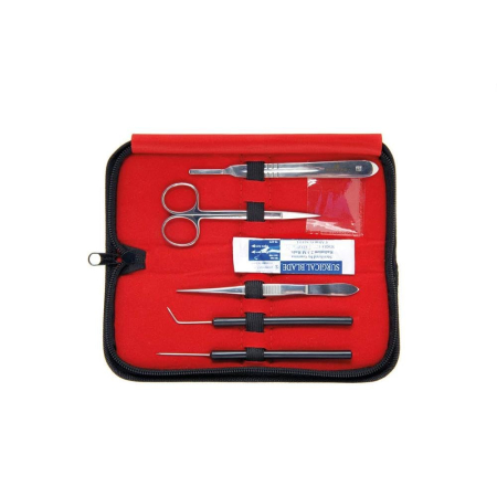 Materiale Didactice - Set disectie - 6 elemente -3B
