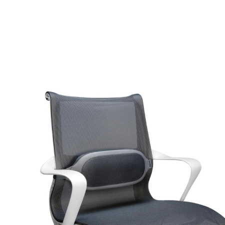Suport ergonomic pentru spate FELLOWES I-Spire [1]