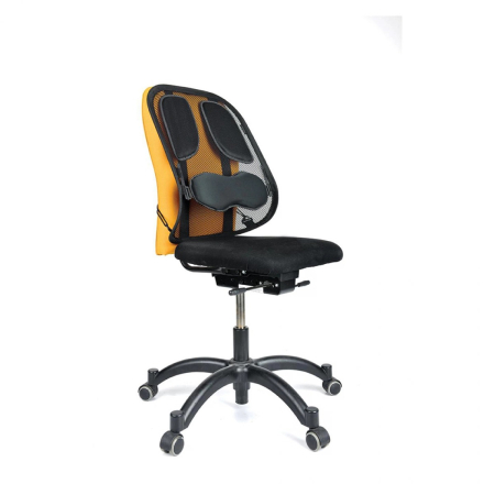 Suport ergonomic pentru spate FELLOWES Professional Mesh [1]