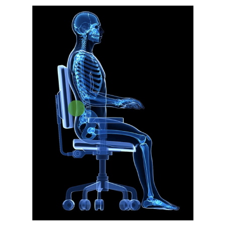 Suport ergonomic spuma pentru spate, cilindric DESQ 1333 [5]