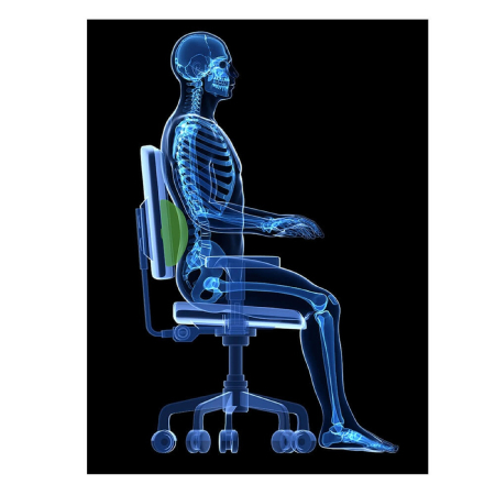 Suport ergonomic spuma pentru spate DESQ 1332 [2]